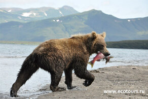 В царство медведя и лосося: Тур на юг Камчатки, Курильское озеро без вертолета